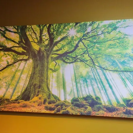 La Foret, T2 Hypercentre Chic Et Cosy, Wifi Par Sovalfi