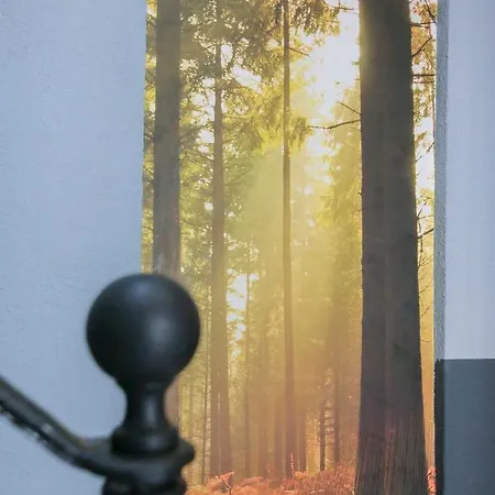 Apartmán La Foret, T2 Hypercentre Chic Et Cosy, Wifi Par Sovalfi